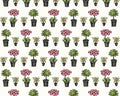 Salon Fleur - Potted Plants from Studio E