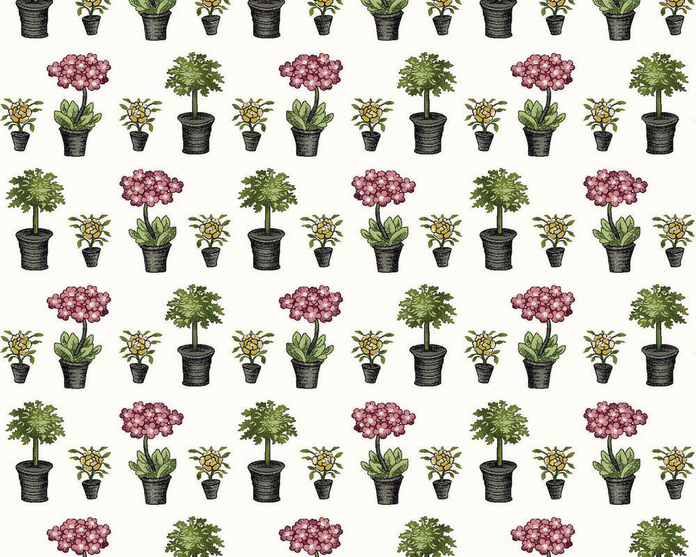 Salon Fleur - Potted Plants from Studio E
