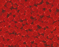 Colette - Red Packed Flowers from Timeless Treasures Fabrics