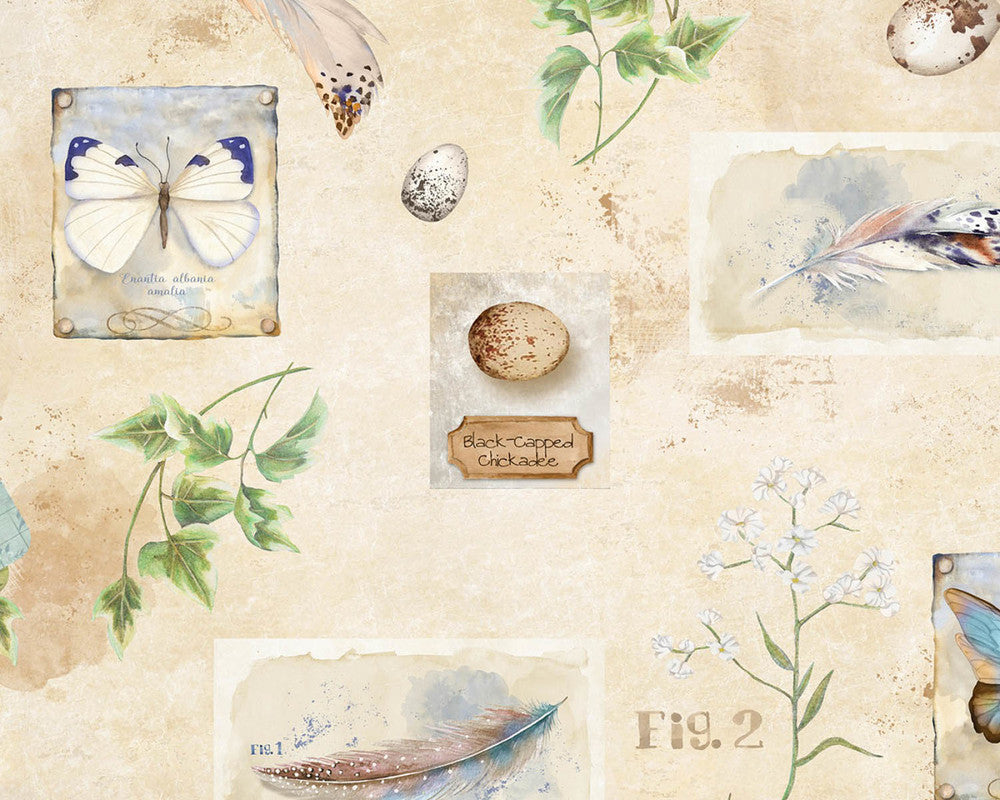 Nature Study - Nature Objects Allover Ivory Beige by Nancy Mink from Wilmington Prints Fabric