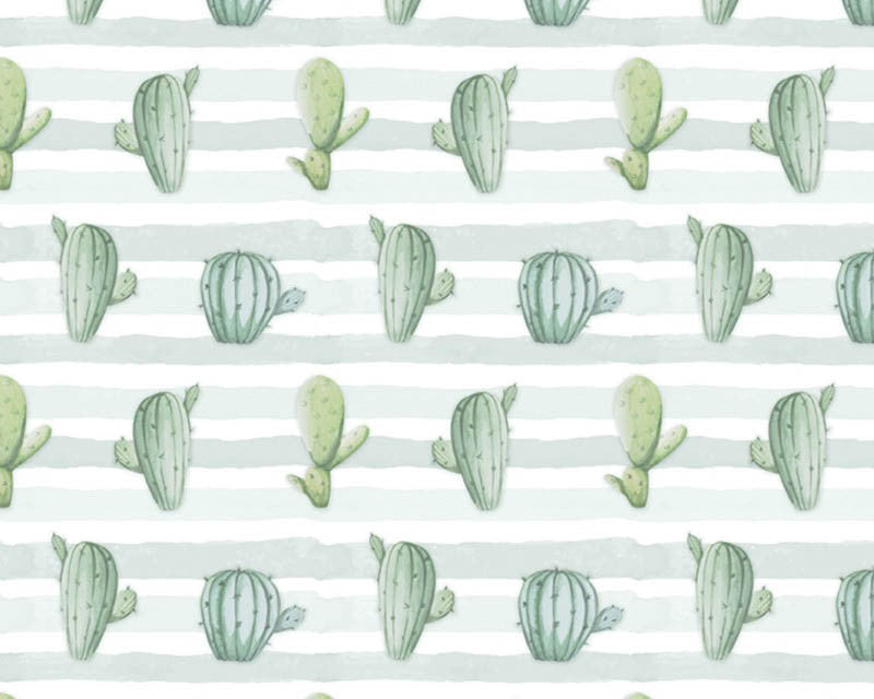 Poly Spandex Knit Prints - Cactus Stripe JERSEY KNIT from David Textiles Fabrics