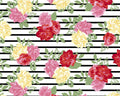 Poly Spandex Knit Prints - Rose Stripe JERSEY KNIT from David Textiles Fabrics