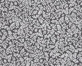 Poppy Promenade - Petite Pearl Ferns Pearlescent Dark Grey from Kanvas Studio Fabric