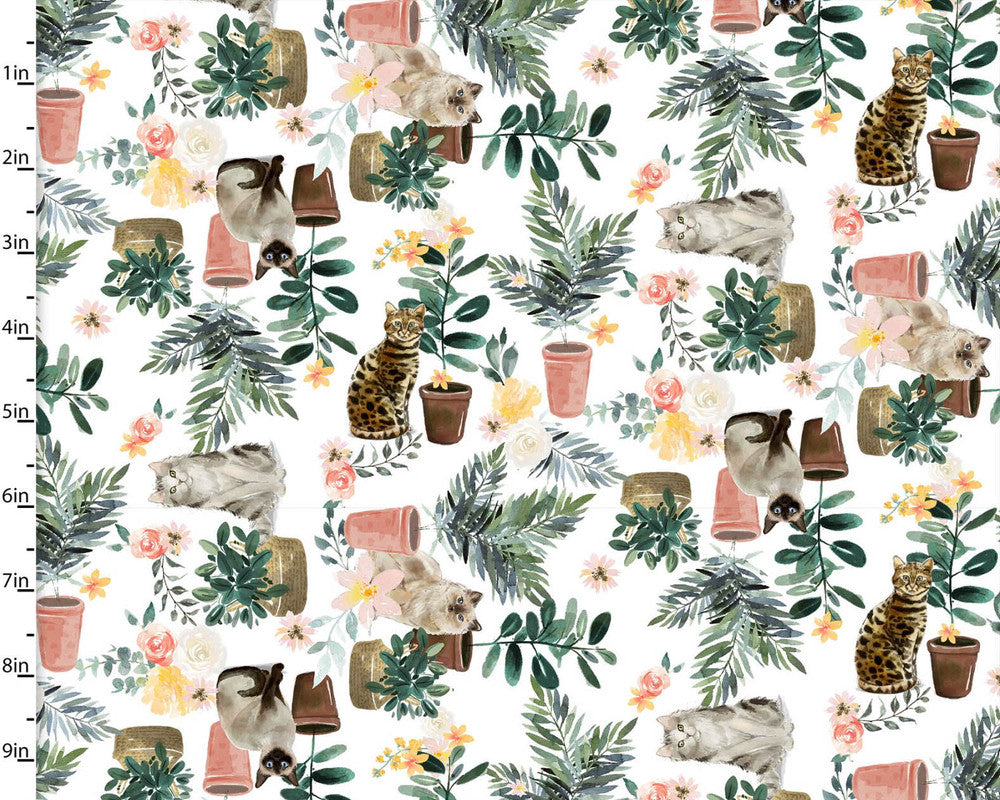 Everyday is Caturday - Cats Potted Plants White from 3 Wishes Fabric