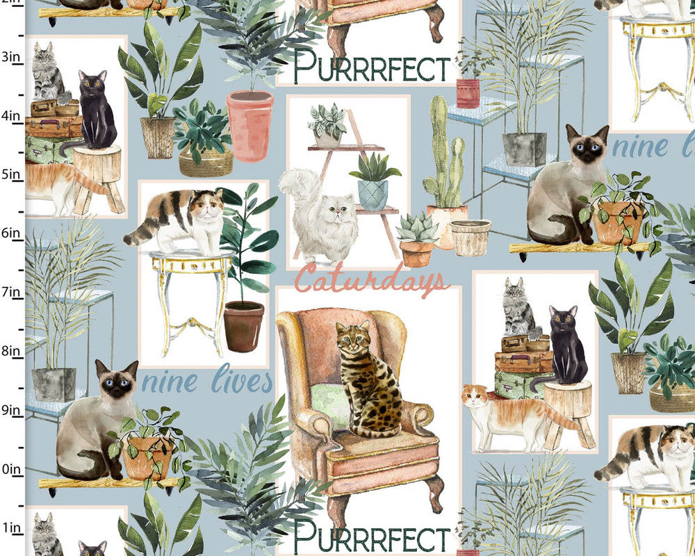 Everyday is Caturday - Cats Sitting Blue from 3 Wishes Fabric