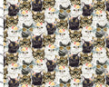 Everyday is Caturday - Cats Packed from 3 Wishes Fabric