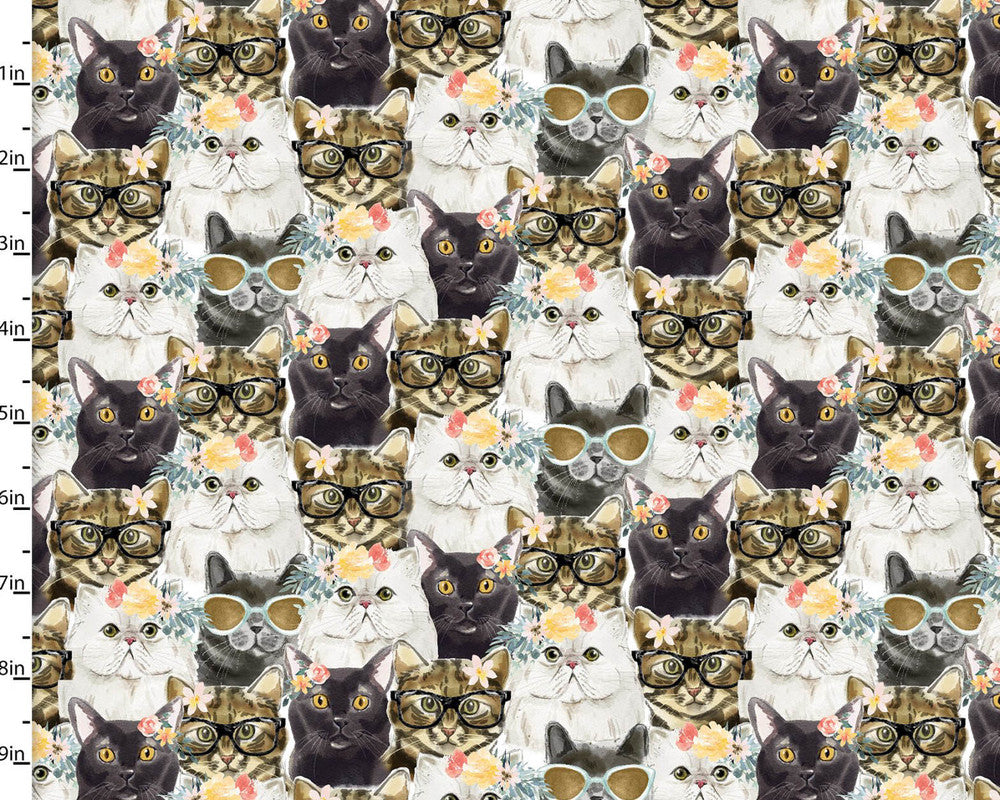 Everyday is Caturday - Cats Packed from 3 Wishes Fabric