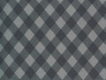Sunday Stroll - Picnic Gingham Grey 55227 17 by Bonnie and Camille from Moda Fabrics