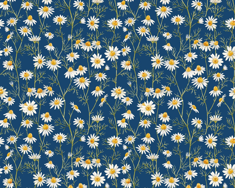 Hedgehog Hollow - Daisies Blue by Jason Yenter from In The Beginning Fabric