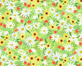 Spring’s Wings - Daisies by Kathy Kehoe Bambeck from P & B Textiles Fabric