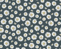 Cottage Farmhouse Fusion - Daisy Allover Dk from Studio E Fabrics