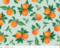 Monthly Placements 2 - June Oranges Mint from Riley Blake Fabric