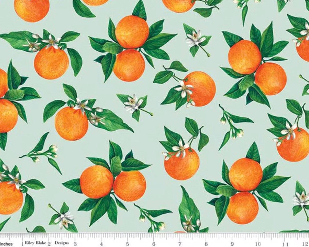 Monthly Placements 2 - June Oranges Mint from Riley Blake Fabric
