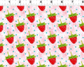ABC's Of Color - Strawberry White from In The Beginning Fabric