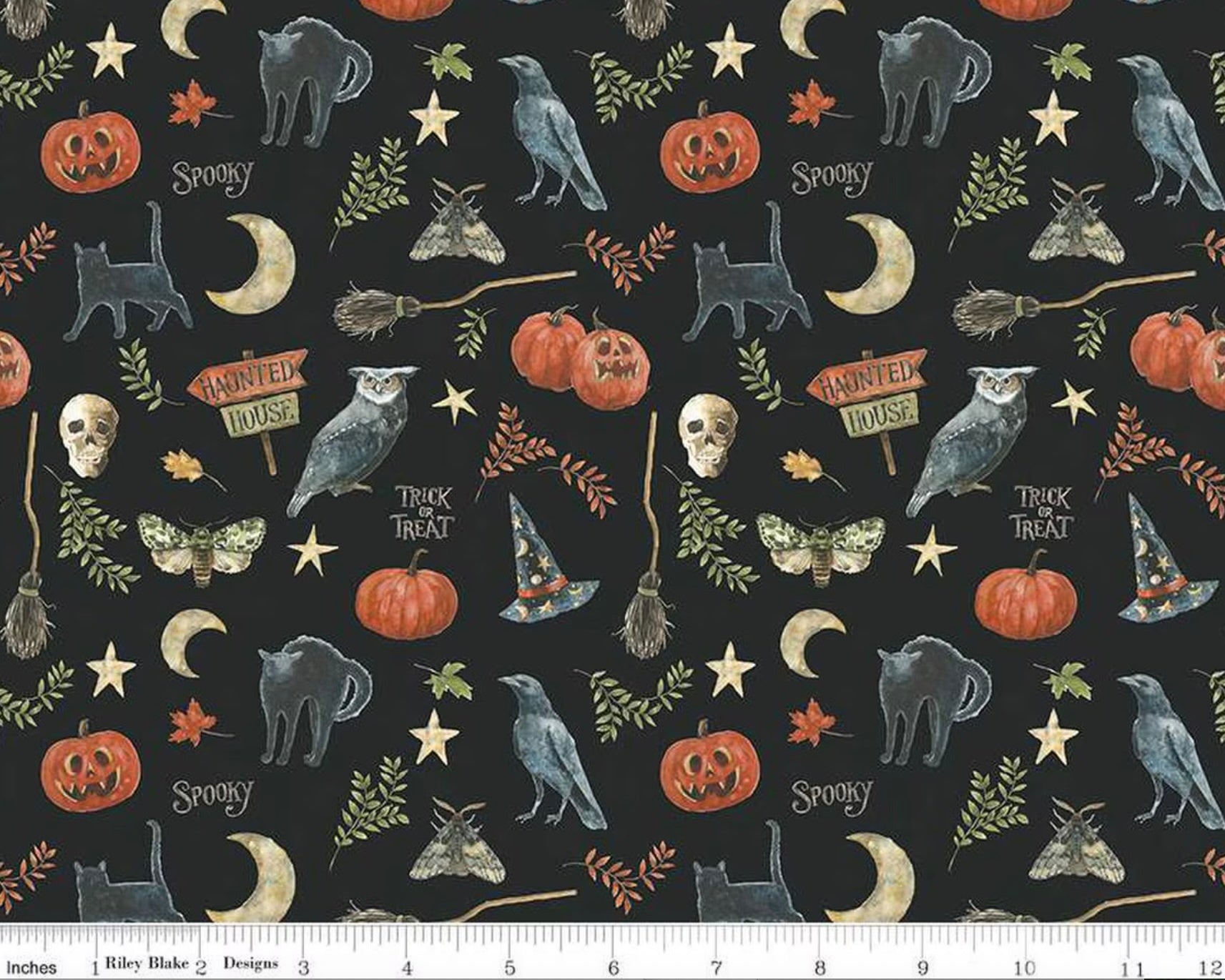 Trick or Treat - Spooky Black from Riley Blake Fabric