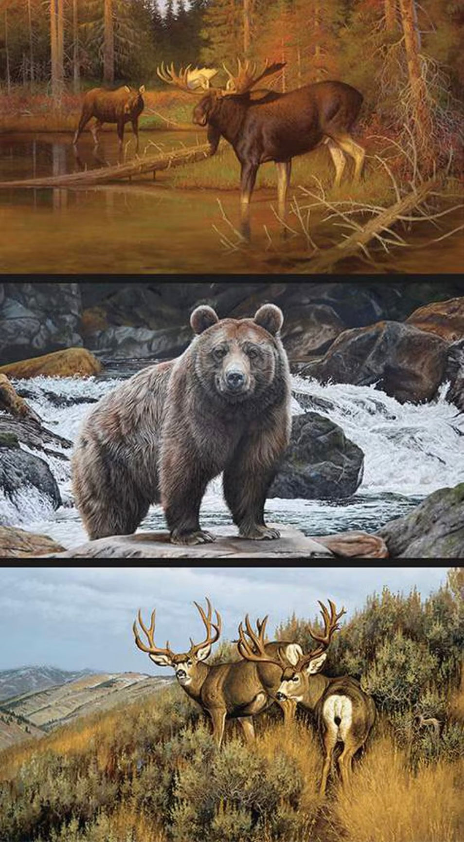 Majestic In Nature - Majestic Animals Pillow PANEL 24 Inches from Riley Blake Fabric