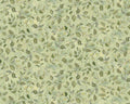 Hydrangea Reverie - Leaves Green by Susan Winget from Springs Creative Fabric