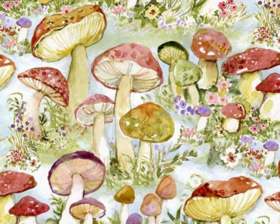 Intriguing Mushrooms - Mushrooms Packed by Susan Winget from Springs Creative Fabric