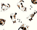 Pandas and Cats OXFORD - Cats Paw Prints Ivory from Cosmo Fabric