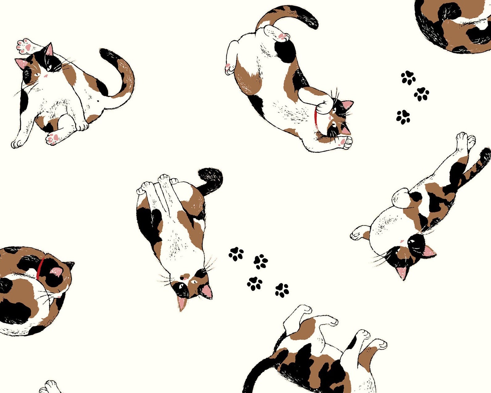 Pandas and Cats OXFORD - Cats Paw Prints Ivory from Cosmo Fabric