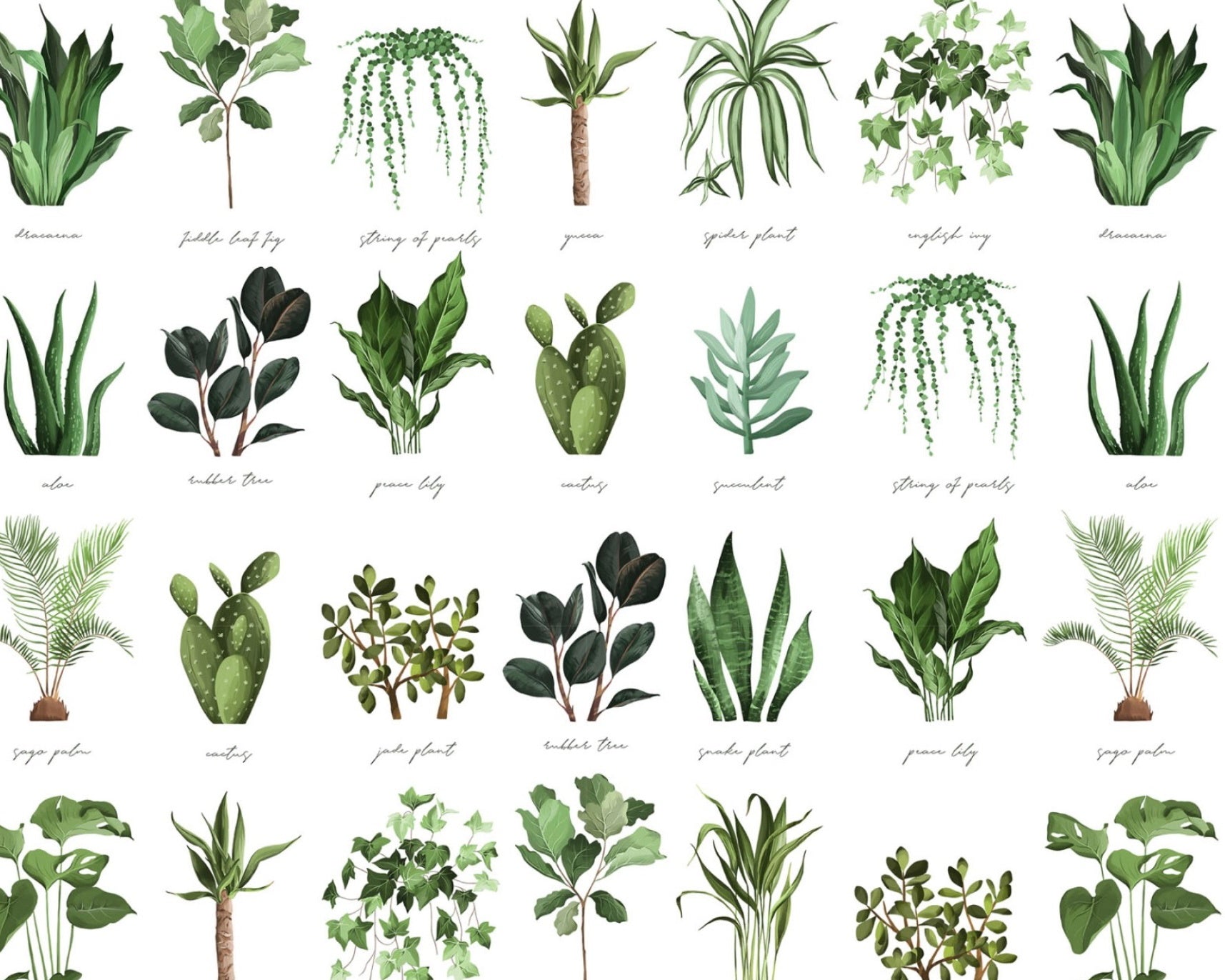 Plant Names from David Textiles Fabrics