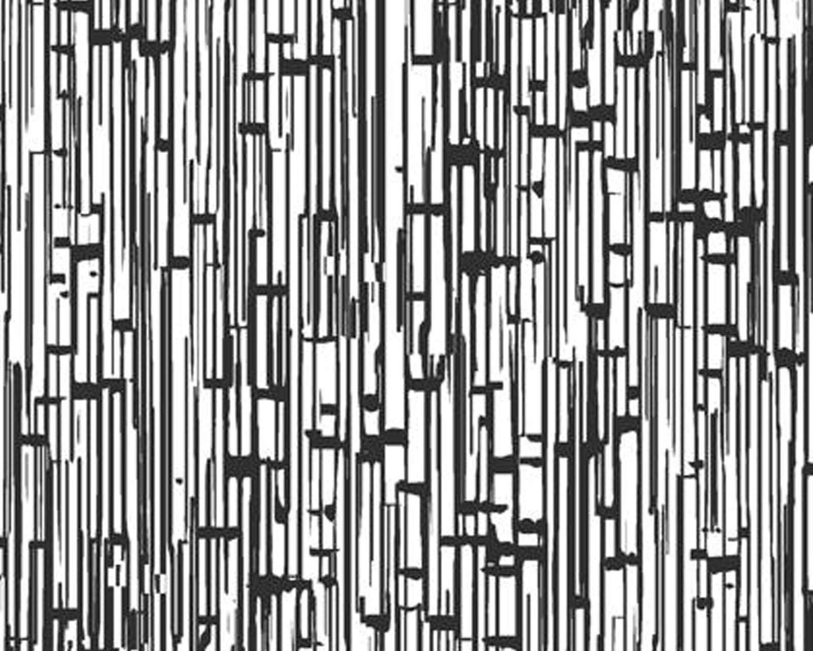 Onyx Etchings Black White from 3 Wishes Fabric