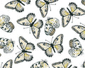 Forest Life - Butterfly Flight White from 3 Wishes Fabric