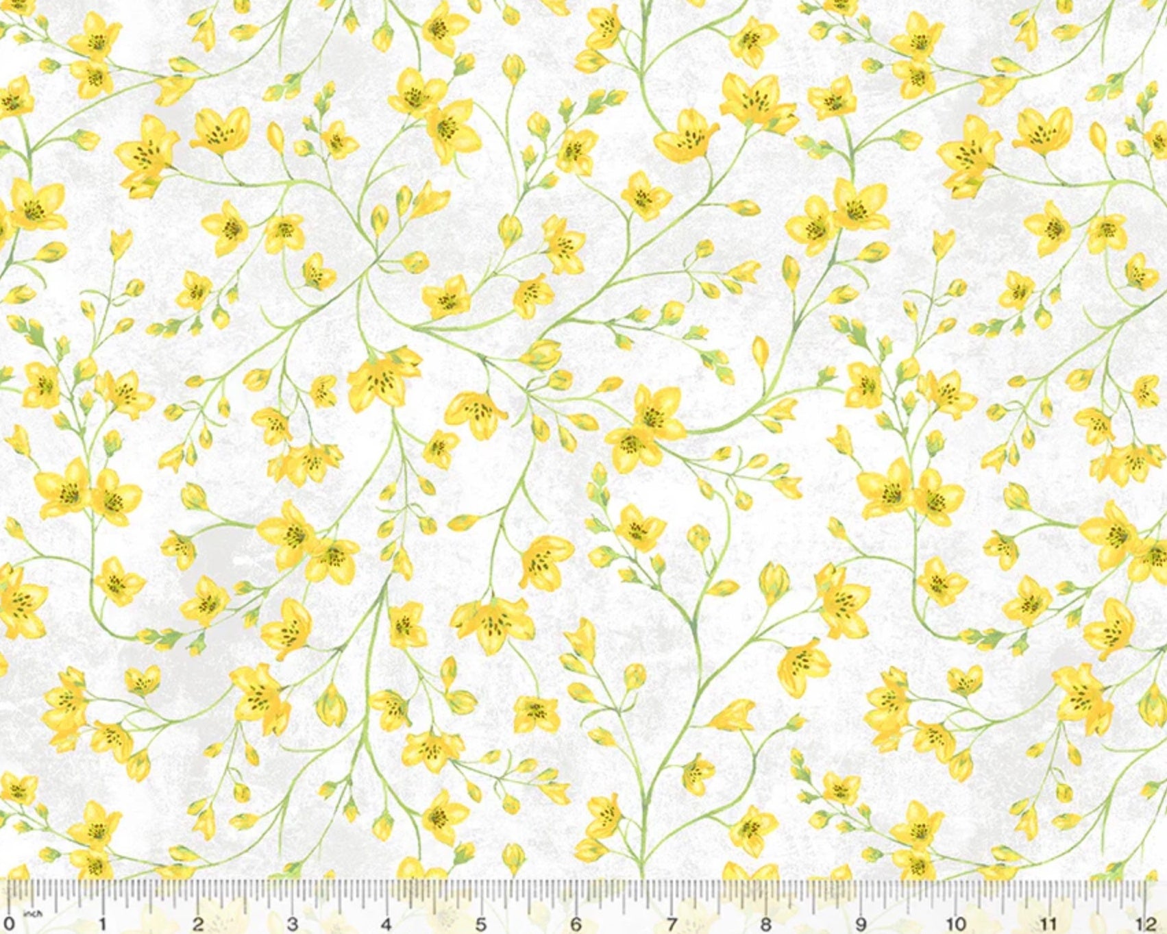 Tulip Fields - Blooming Buds White from Windham Fabrics
