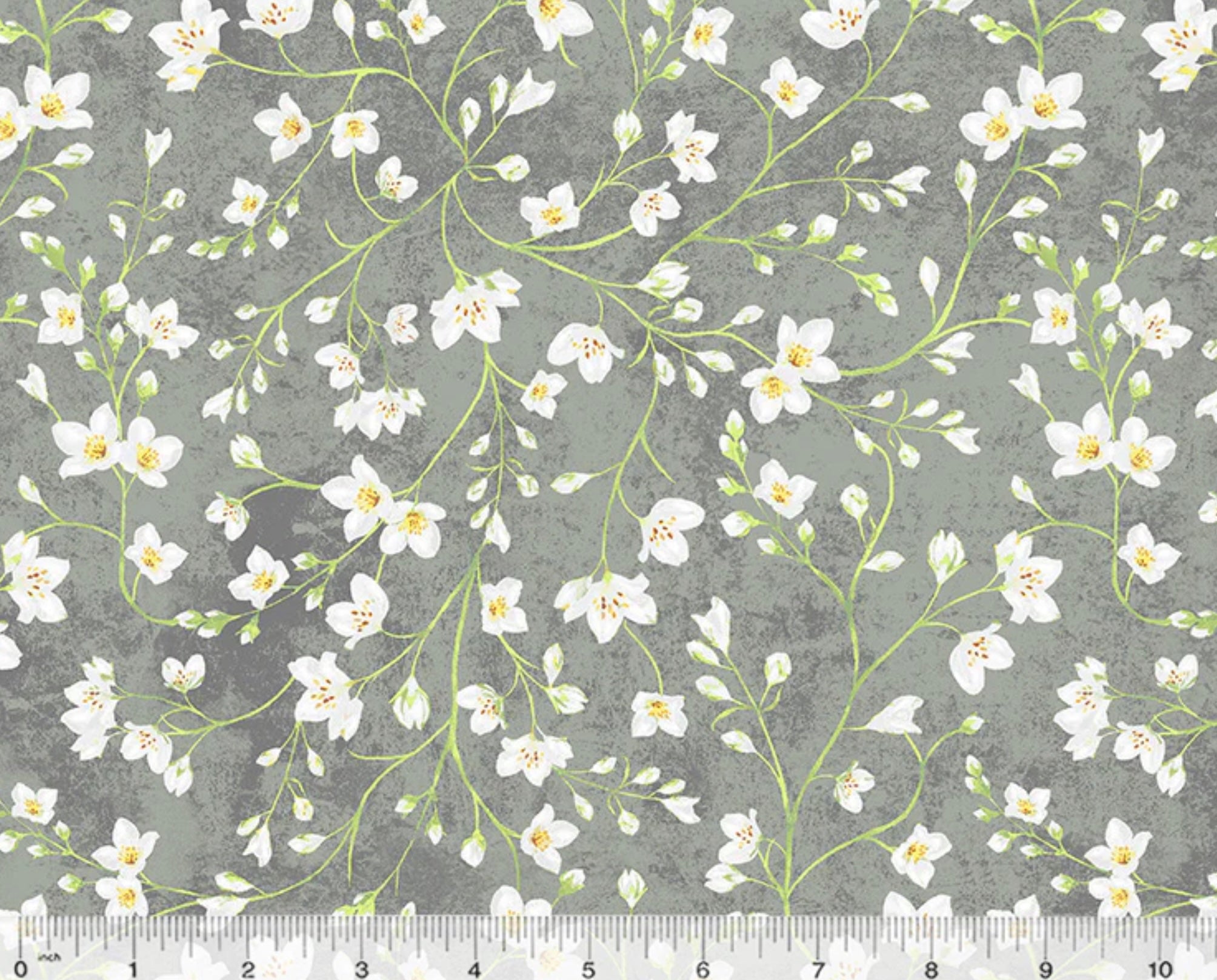 Tulip Fields - Blooming Buds Cement from Windham Fabrics