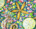 Seaside Summer - Conchology Multi from 3 Wishes Fabric
