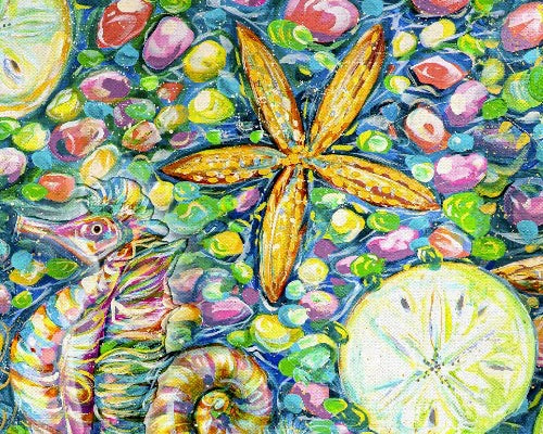 Seaside Summer - Conchology Multi from 3 Wishes Fabric