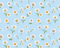Bee and Bee Kind - Tossed Daisies Sky from Timeless Treasures Fabric