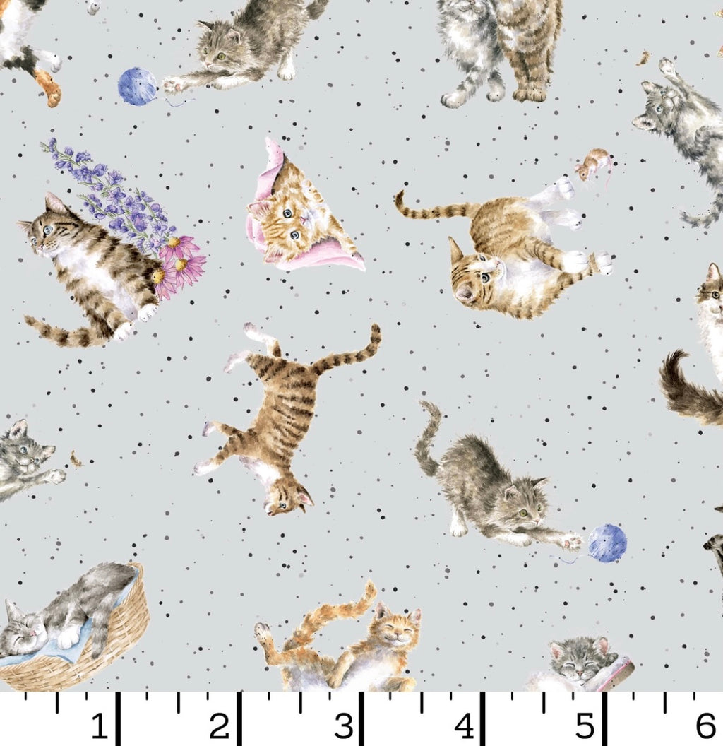 Whiskers and Paws- Tossed Cats Grey from Maywood Studio Fabric