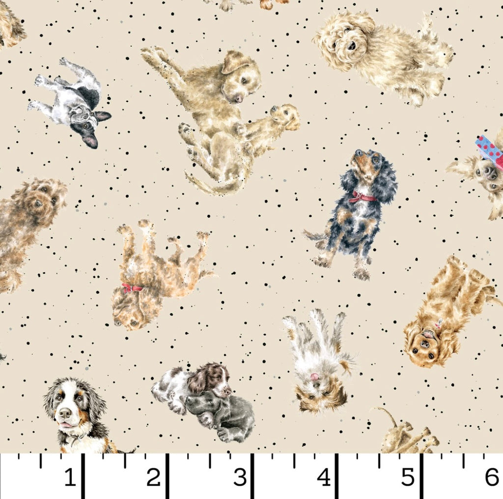 Whiskers and Paws - Tossed Dogs Cream from Maywood Studio Fabric