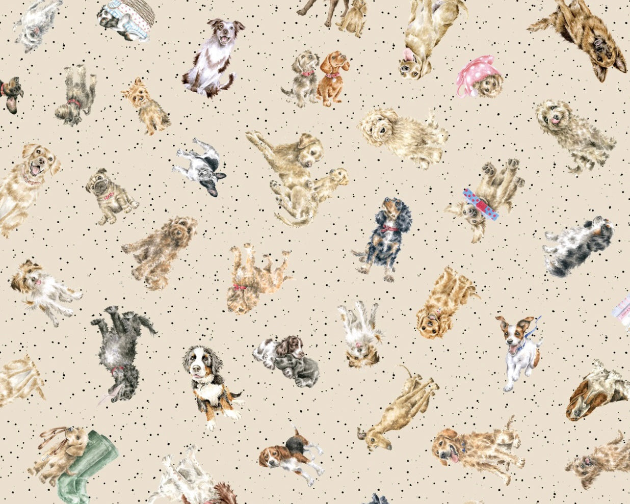 Whiskers and Paws - Tossed Dogs Cream from Maywood Studio Fabric
