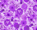 Living Color - Floral Purple from Timeless Treasures Fabric