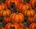 Harvest Haunt - Pumpkins and Black Cats from Blank Quilting Corporation Fabrics