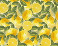 Italian Citrus - Lemon Toss Green from Paintbrush Studio Fabrics