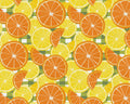 Italian Citrus - Slice Toss Multi from Paintbrush Studio Fabrics