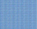Country Blue - Gingham Dk Blue from Wilmington Prints Fabric