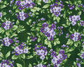 Georgina - Small Flowers Vine Evergreen from Robert Kaufman Fabrics