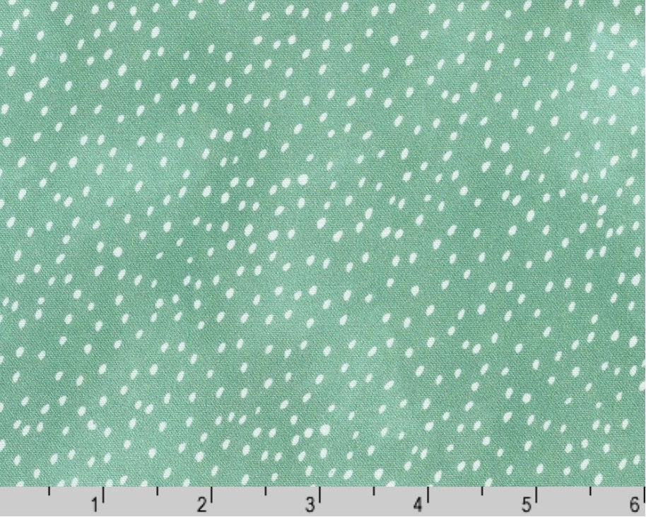 Strawberry Season Wishwell - Seeds Dots Eucalyptus from Robert Kaufman Fabrics