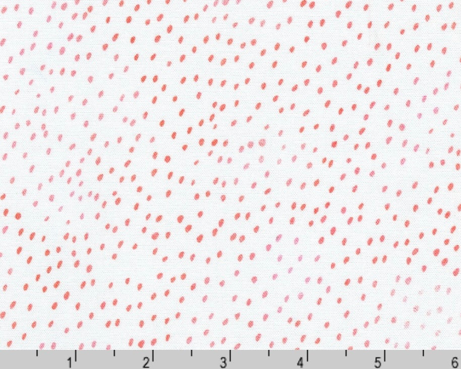 Strawberry Season Wishwell - Seeds Dots White from Robert Kaufman Fabrics