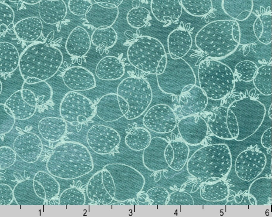 Strawberry Season Wishwell - Strawberry Outline Slate from Robert Kaufman Fabrics