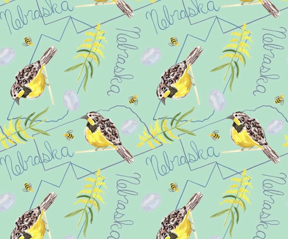Natural State - Nebraska from In The Beginning Fabric